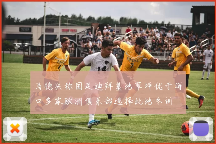 马德兴称国足迪拜基地草坪优于海口多家欧洲俱乐部选择此地冬训