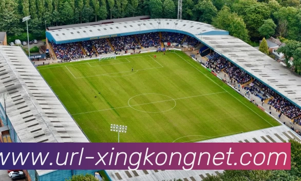 星空体育平台生态图