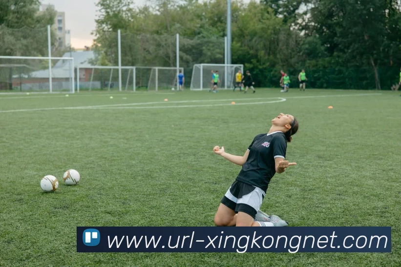 数据防护可视化